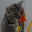 Brinquedo Túnel Espiral <br> Interativo & Seguro <br> 🎁 +BRINDE EXCLUSIVO - ShopPatinhas