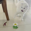 Brinquedo Interativo Pet<br> Girassol Mágico 2 em 1 <br> Gira Automaticamente